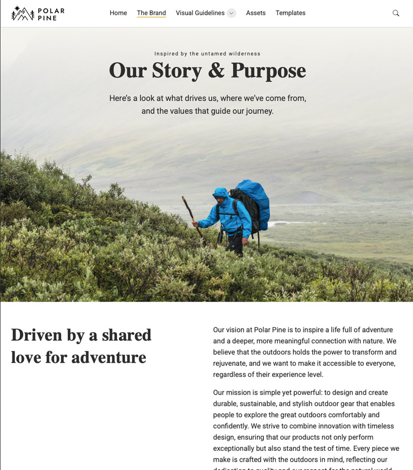 Screenshot of the Mediaflow brand portal